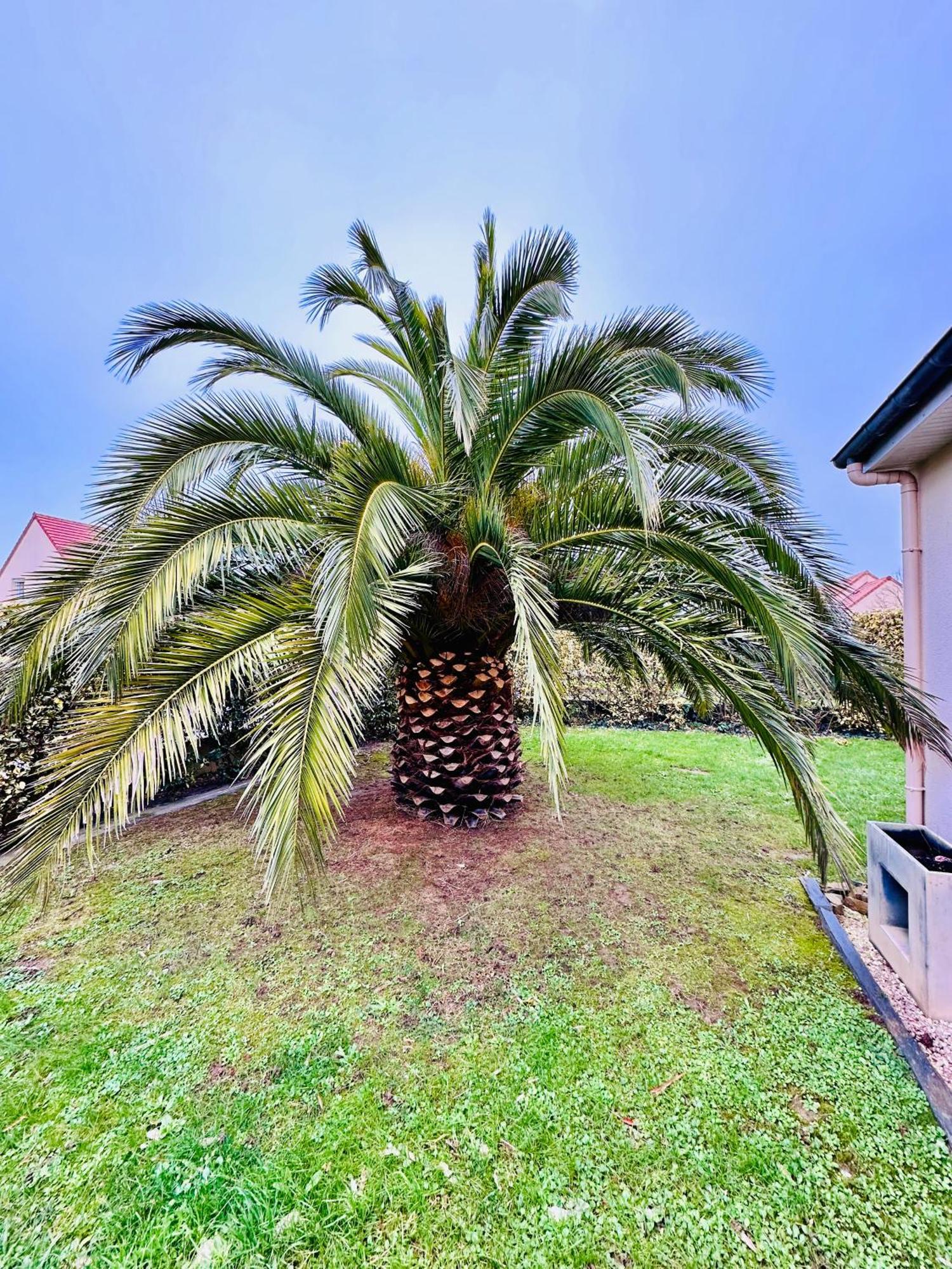 Les Palmiers Gite 7 Personnes Plages Du Debarquement Grandcamp-Maisy Dış mekan fotoğraf